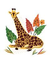 Bold and dynamic illustration featuring a lying giraffe surrounded by lush tropical leaves. vector