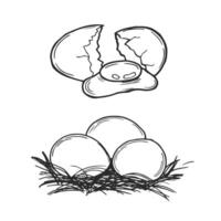 Nest with eggs line icon. linear style sign for mobile concept and web design. Easter eggs nest outline icon. Symbol, logo illustration. graphics vector