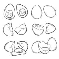 Fresh, boiled and fried eggs, outline icons. Simple broken chicken and quail eggs with cracked eggshell, drawn boiled eggs half and slices illustration. vector