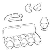 Chicken eggs in a carton pack. Eggs in an opened box. Hand-drawn illustration of an egg container Isolated on a white background. vector