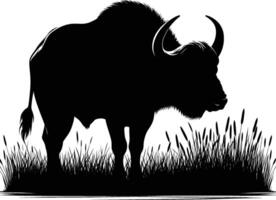 Strong Buffalo Silhouette in Profile on Clean White vector