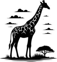 Tall Giraffe Silhouette Facing Right on White Background vector
