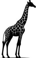 Expressive Giraffe Silhouette in Natural Pose on White Background vector