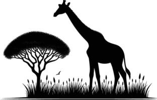 Detailed Giraffe Silhouette Facing Forward on White Background vector