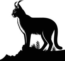 Standing Pose Caracal Silhouette on a White Background vector