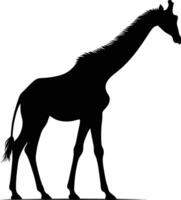Distinctive Giraffe Silhouette with Defined Outline on White Background vector
