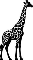 Giraffe Silhouette with Long Legs on White Background vector