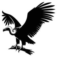 Vulture Silhouette with Head Turned on White Background vector