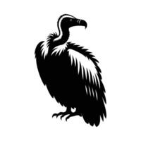 Striking Vulture Shadow on a Crisp White Background vector