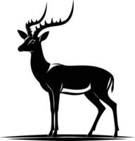 Side View of Impala Silhouette on White Background vector