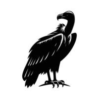 Elegant Vulture Silhouette Resting on White vector