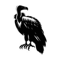 Graceful Vulture Silhouette Perched on White vector