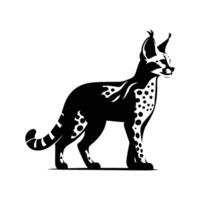 Stand Serval Silhouette on White Background vector
