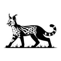 Captivating Serval Silhouette on a Snowy White Background vector