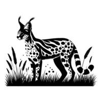 Black Serval Silhouette on White Background vector