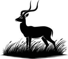 Impala Silhouette with Tail Raised on White Background vector