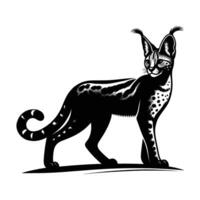 Walking Serval Silhouette on White Background vector