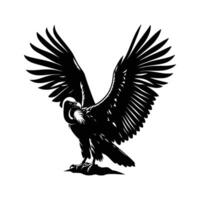 Vulture Silhouette on White Background vector