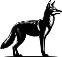 Expressive Jackal Silhouette in Natural Pose on White Background vector