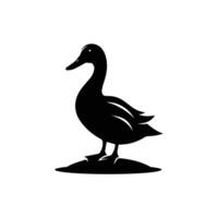 Greatfull Duck and Swan silhouette Style with white background vector