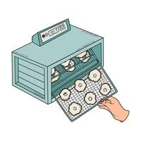 Sliced fruits in food dryer machine, electric food dehydrator. Monitoring of drying progress, trays rotation. Canning and culinary, healthy diet concept. Hand drawn doodle style illustration. vector