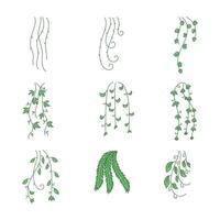 Hanging vines icon collection. flat style elements. cartoon isolated illustration vector