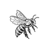 A black and white drawing of a unique bee vector