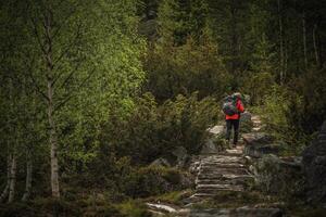 A Hiker Wearing Red Climbs a Stone Path Surrounded by Lush Greenery in a Serene Forest Setting photo