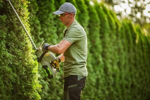 Gardener Trimming Hedges With Electric Trimmer in a Well-Maintained Backyard During Daylight photo
