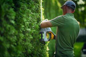 Man Trimming a Lush Green Hedge in a Well-Maintained Garden During Bright Daylight Hours photo