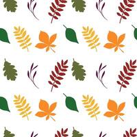 autumn isolated green yellow red seamless pattern of different leaves, rowan berry, oak, chestnut, linden, birch, bright foliage botanical fall illustration, floral, September, October background vector