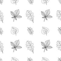 Black autumn green line doodle seamless pattern of different leaves, rowan berry, oak, chestnut, linden, birch, foliage botanical fall illustration, floral design, September, October background vector