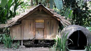 Traditional Wooden Animal Shelter with Thatched Roof in Lush Tropical Garden Setting Surrounded by Dense Green Foliage photo