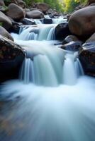 A river flowing through a forest with rocks photo