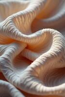 A close up of a white fabric with wavy lines photo