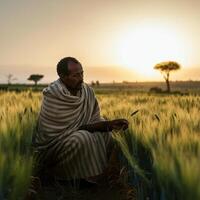 an ethiopian farmer sit in wheat farland photo