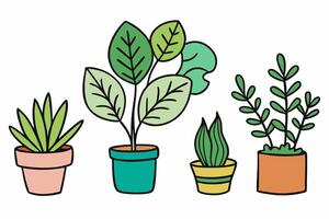 Four different types of house plants in pots vector