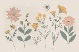 illustration of flowers in different colors vector