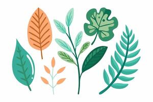 A set of colorful leaves on a white background vector