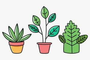 Three different types of plants in pots vector