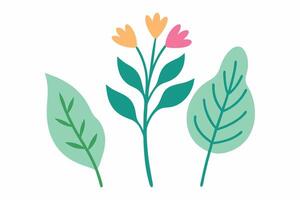 flowers and leaves on a white background vector