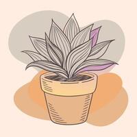 A potted plant with purple leaves on a beige background vector