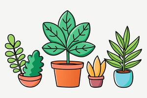 A group of plants in pots on a white background vector