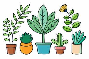 Various plants in pots on a white background vector
