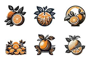 Oranges in Culture Symbolism and Significance Across the Globe vector