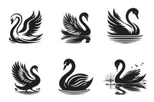 Black And White Swan Images vector