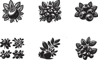 Create a Blueberry silhouette Style with white background vector