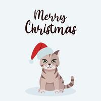 Postcard with a cat, kitten. Happy holidays. Greeting concept. Ideal for print, postcard or label. New Year card. vector