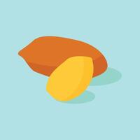 Speanut . wallpaper. free space for text. copy space. background. peanut on green background. vector