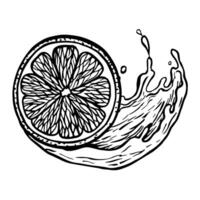 A slice of citrus fruit in juice. graphic illustration of sliced juicy lime, orange, grapefruit. A black and white hand-drawn image of citrus fruits. Great for menus, labels, cooking recipes. vector